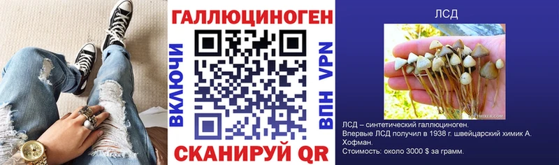 мега ссылки  Шали  Галлюциногенные грибы Psilocybine cubensis  купить  сайты 